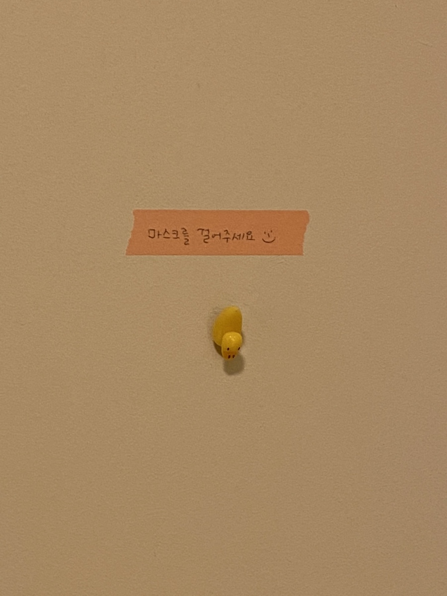 좋은날 사진 8
