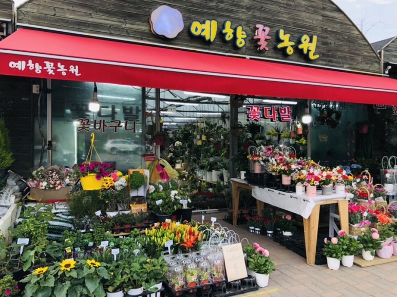 자이꽃농원 이미지