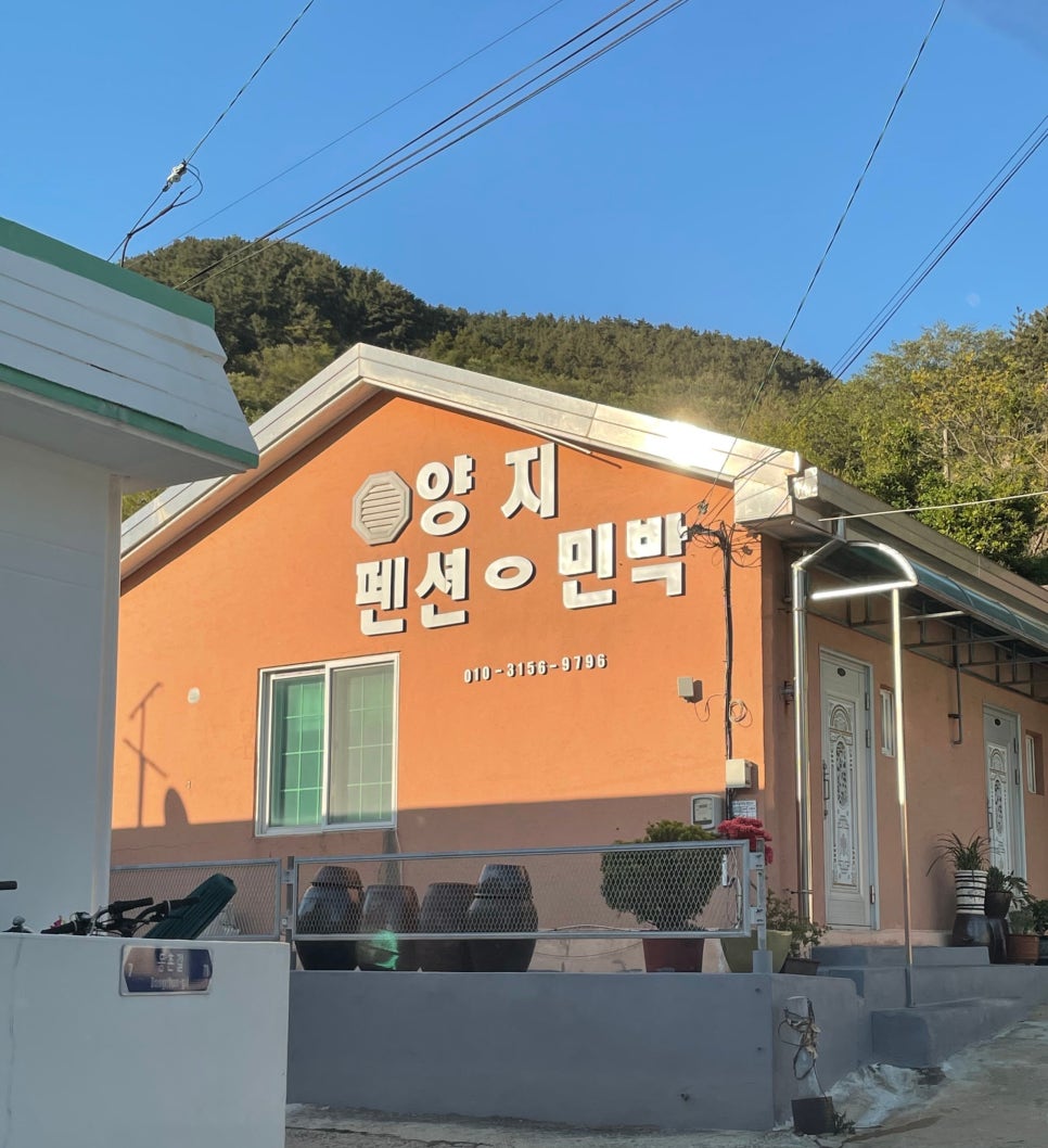 양지민박 이미지
