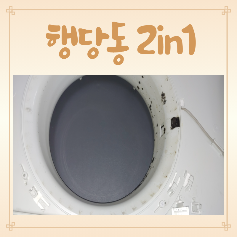 버블크린 이미지