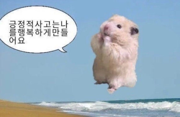 에이치아이 이미지