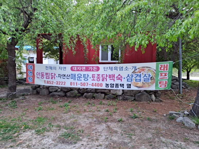 도산래프팅;도산민박 이미지