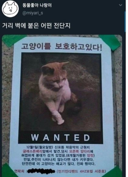 디진다 이미지