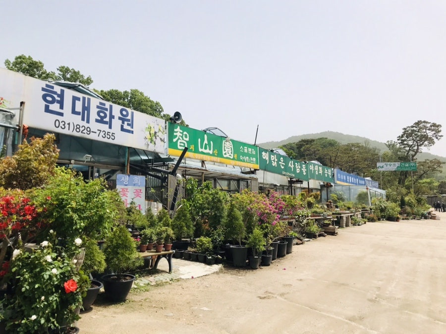 꽃단지농원 이미지