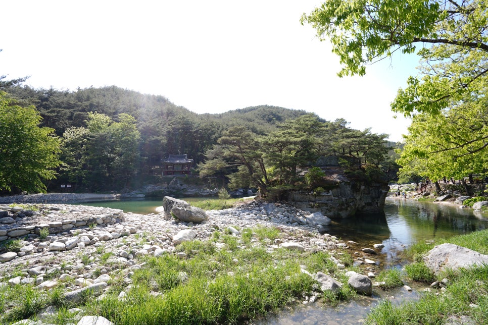 수승대콘도텔 이미지