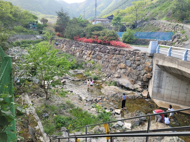 천태산오토캠핑장 이미지
