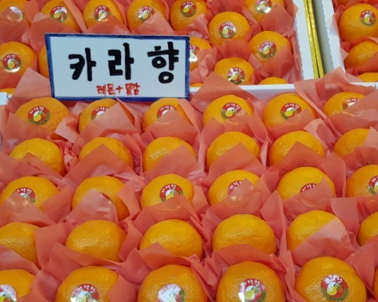모드락농원 이미지