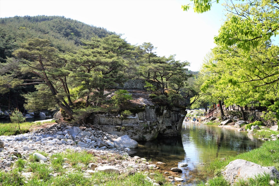 수승대콘도텔 이미지