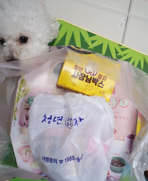 청년피자순천 이미지