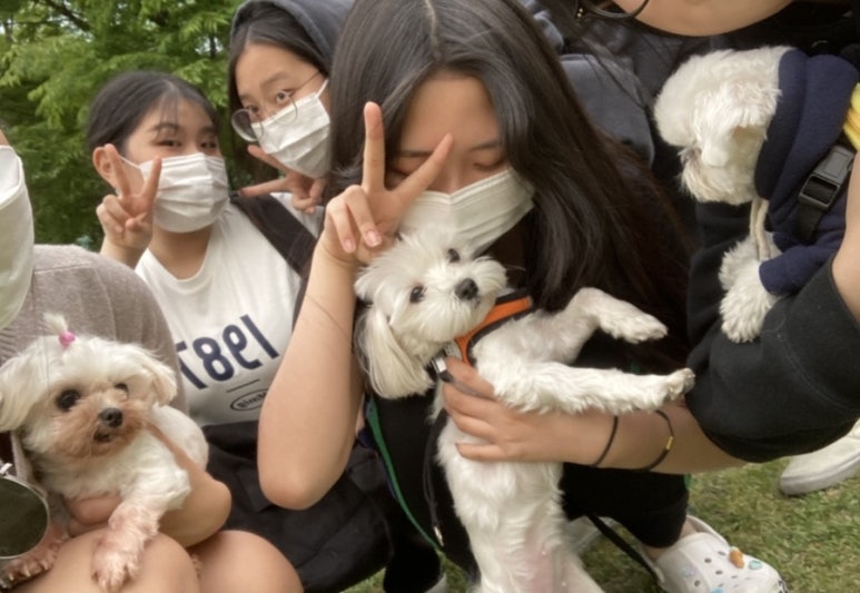 오씨오씨 이미지