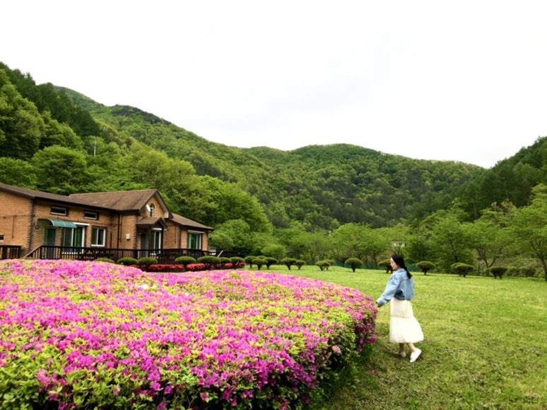 마이산꽃펜션 이미지