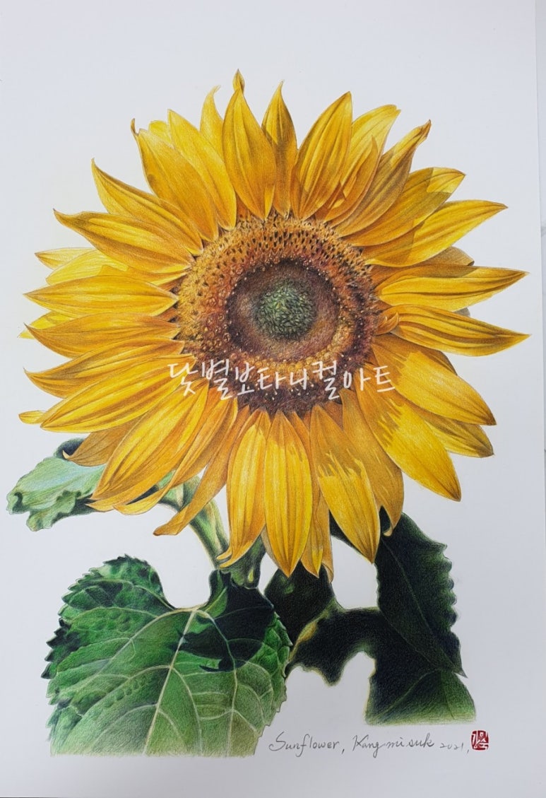 닻별아트 이미지