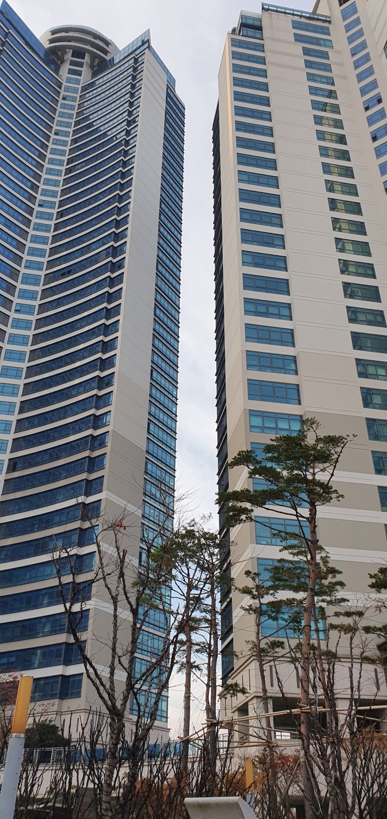 법무법인강남 이미지