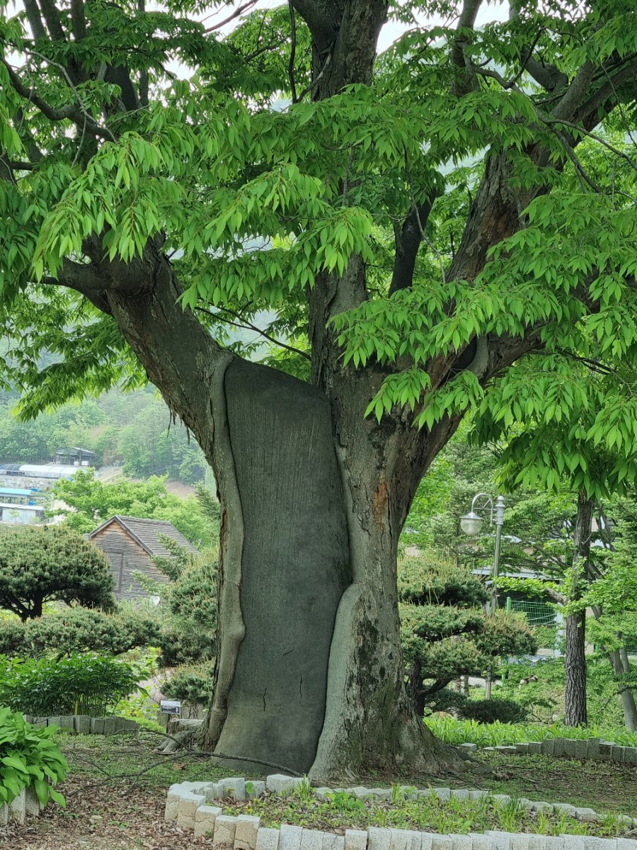 대아커피숍 이미지