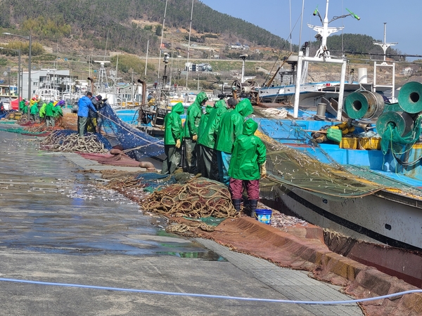 거제도젓갈 이미지