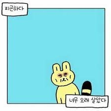 미소전자 이미지