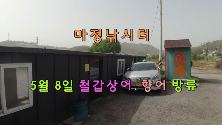 오늘은향어 이미지