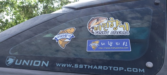 비향피싱 이미지