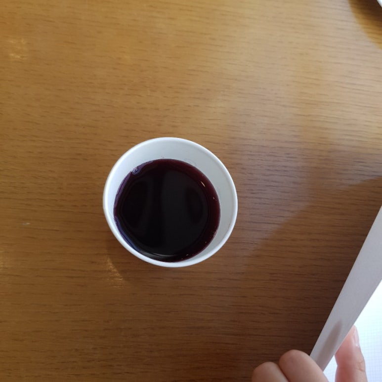 로카와델피노1 이미지