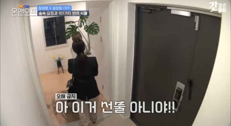 식물101 이미지