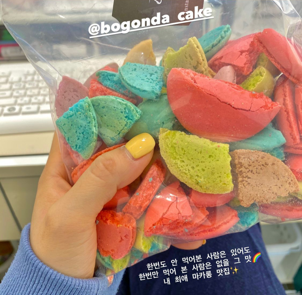 보곤다 이미지