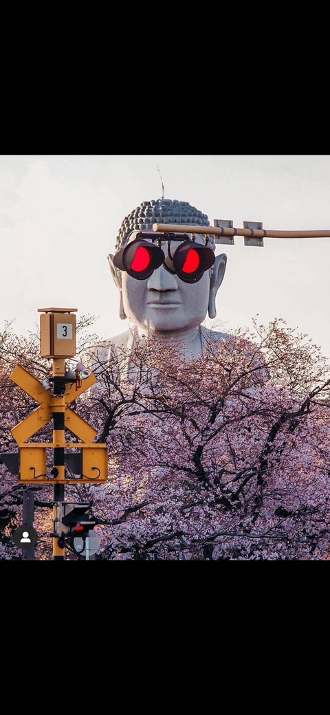 호월 이미지