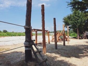상록초등학교 이미지