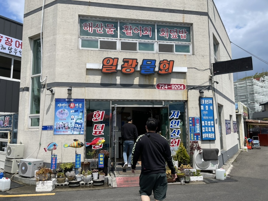일광물회 이미지
