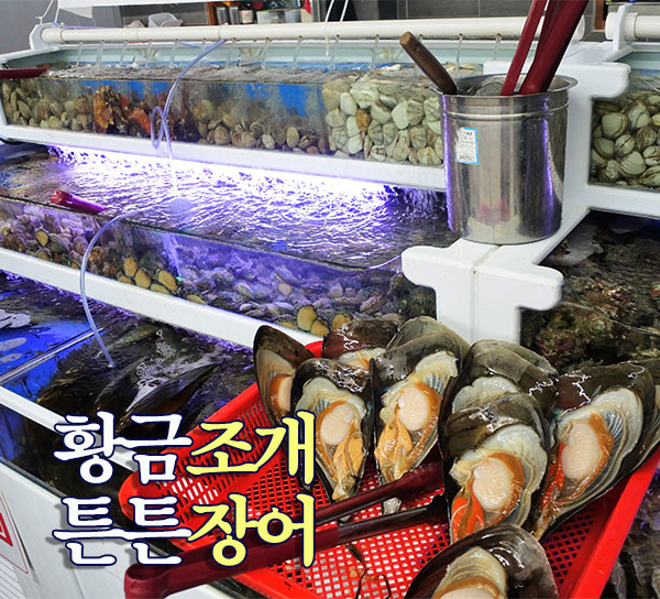 뉴장어세상 이미지