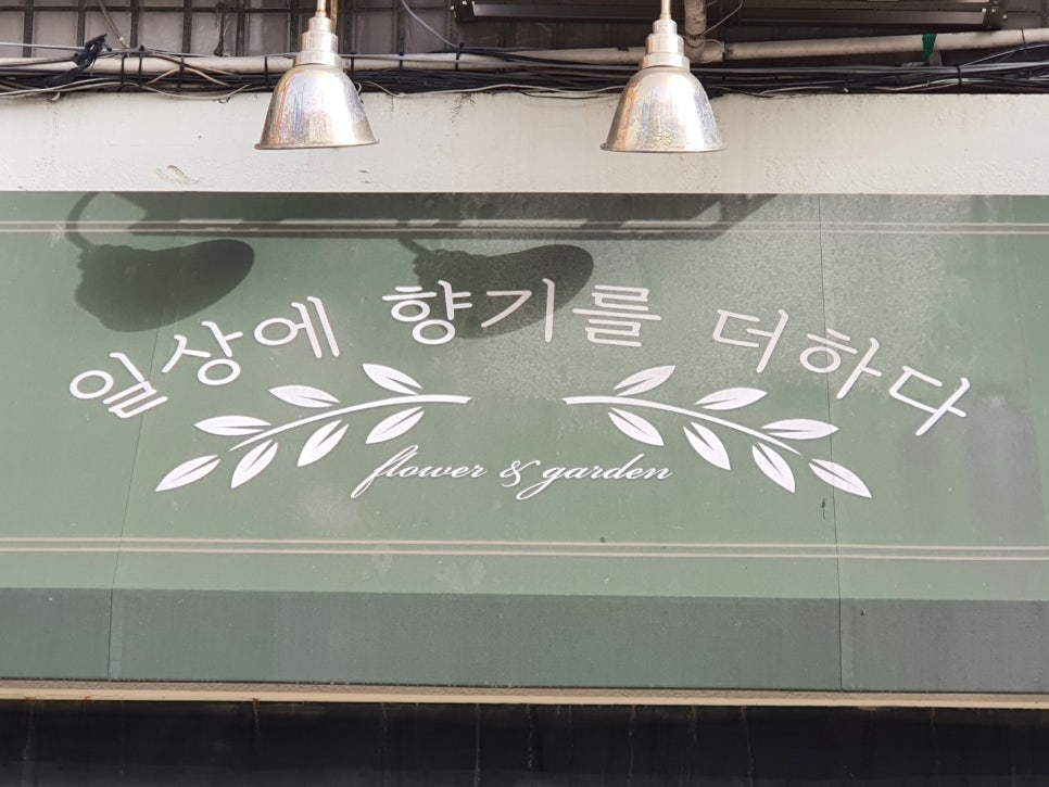 일향플라워 이미지