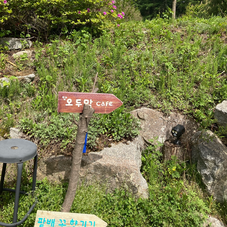 이엘하우스홈브레드 이미지
