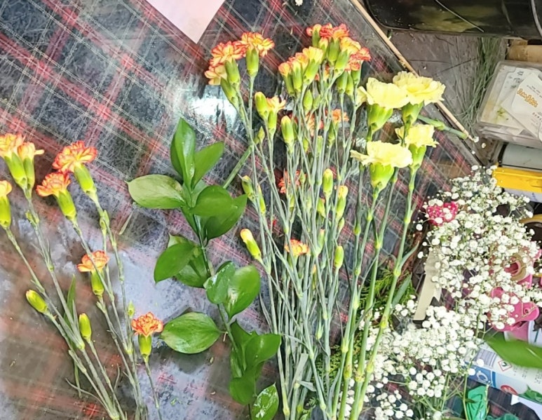 화원꽃마을 이미지