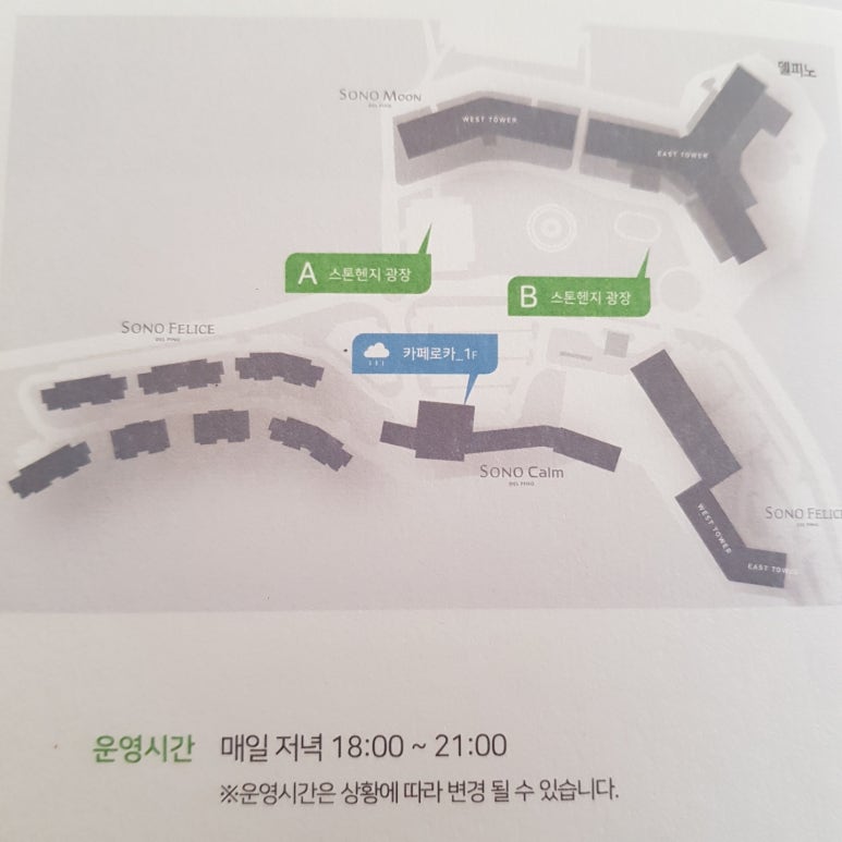 로카와델피노1 이미지