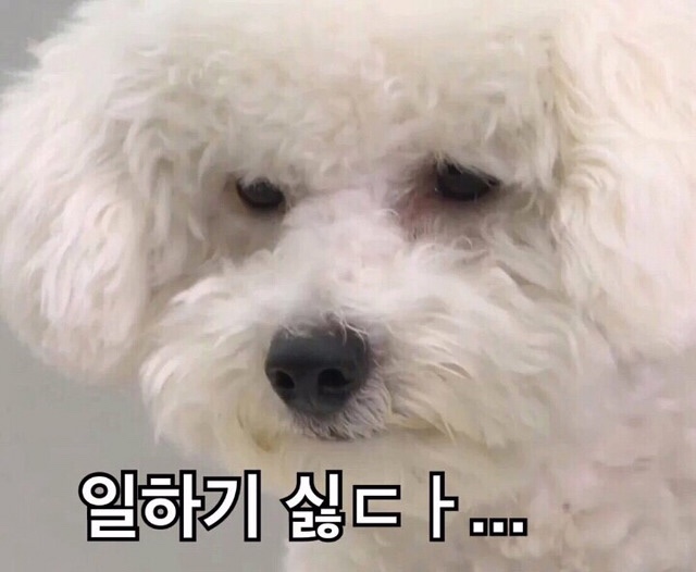 로또판매점 이미지