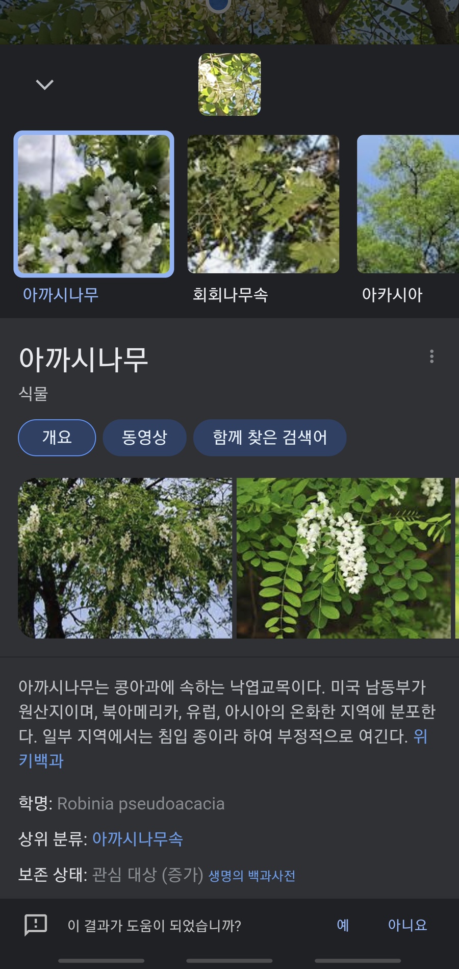 와더커피 이미지