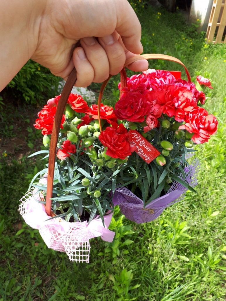 대구막창&공릉동닭한마리 이미지