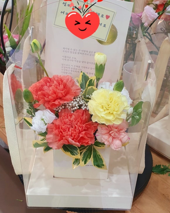 에코자인 이미지