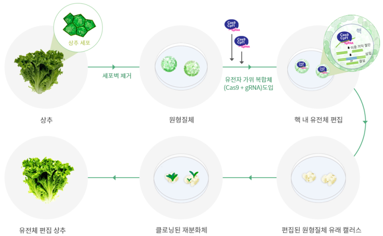 지플러스 이미지