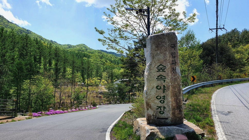 하늘숲야영장 이미지