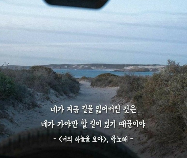 다독스터디카페 이미지
