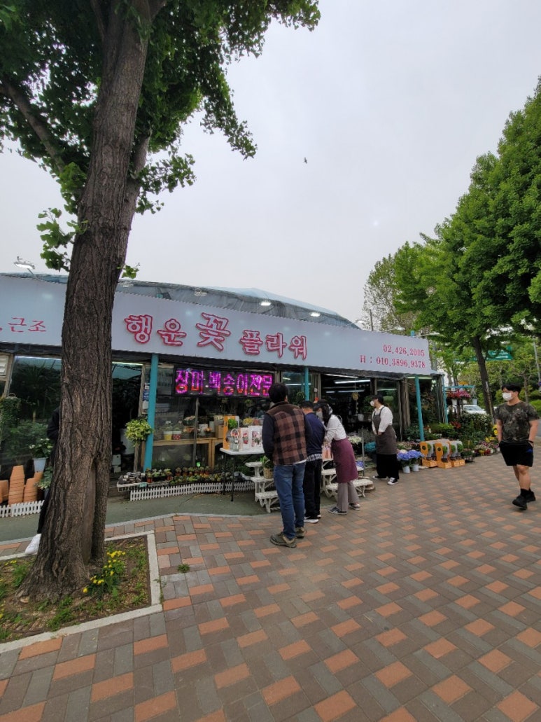 행운꽃플라워 이미지