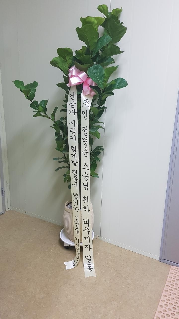 체형교정원 이미지