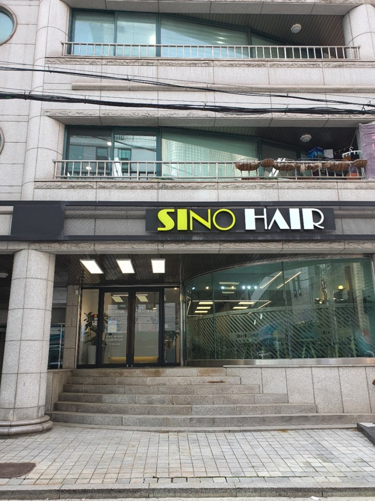 시노헤어 이미지