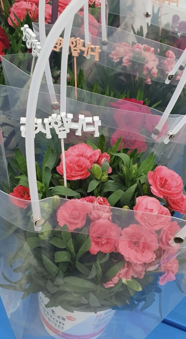 수정꽃마을 이미지