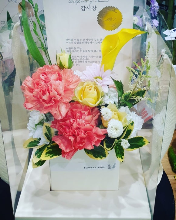 에코자인 이미지