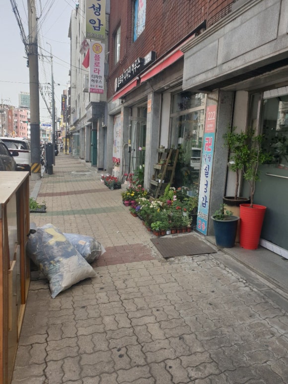 플로라디자인하우스 이미지