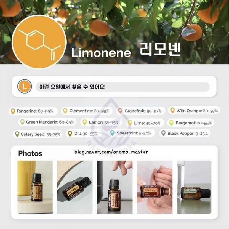 시트러스 이미지