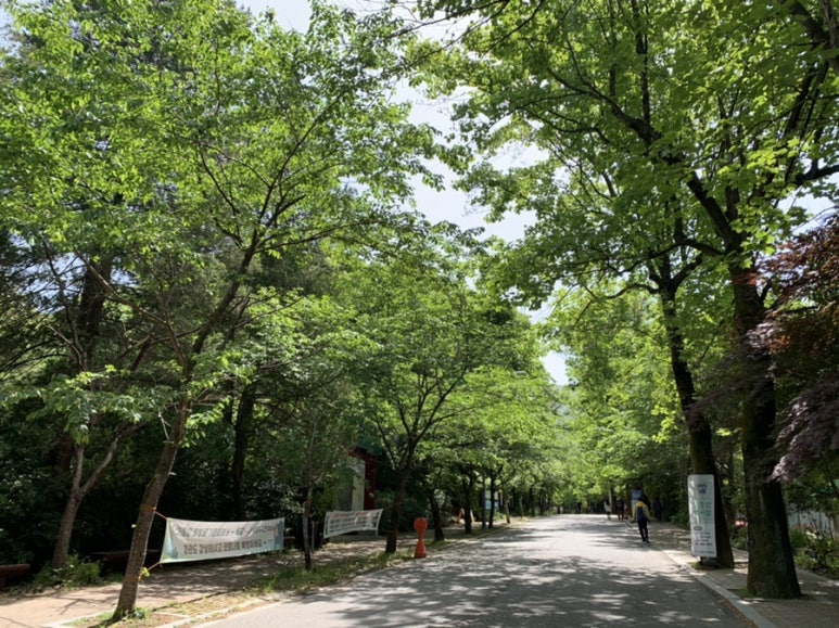 명인만두 광주무등산점 이미지