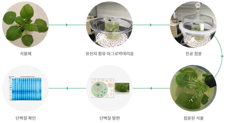지플러스 이미지