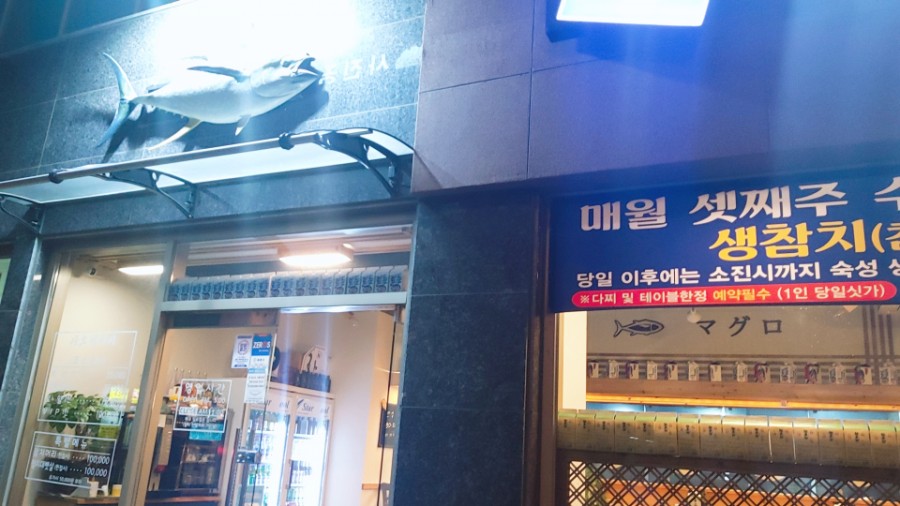 아오이참치 이미지